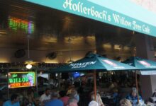hollerbach willow tree​