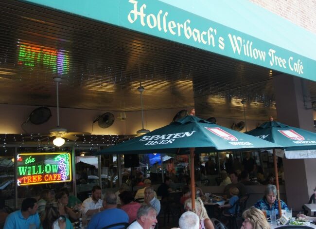 hollerbach willow tree​