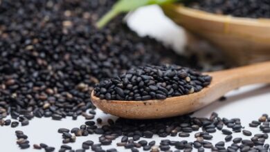 nigella seed oil benefits